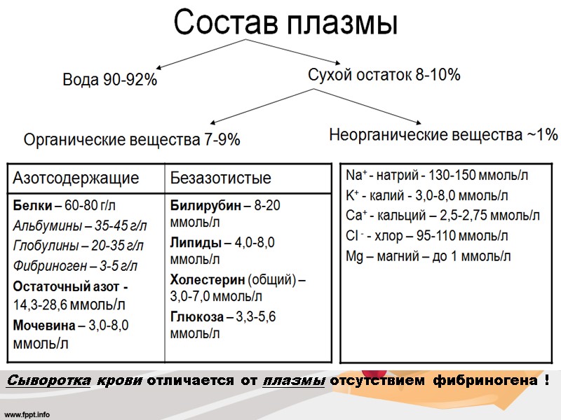 Title Text Сыворотка крови отличается от плазмы отсутствием фибриногена !